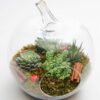 meltem-terrarium-via131-1-8d3ed0716ba9e71-193c00ad