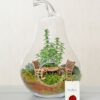 poyraz-terrarium-via129-1-8d3ed00ec58e7a8-8e30e37f