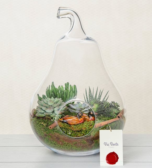 yildiz-terrarium-via128-1-8d3ecfdb3d35c06-a21a7fb3