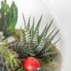 yildiz-terrarium-via128-1-8d3ed055cb7f26f-8c085ced